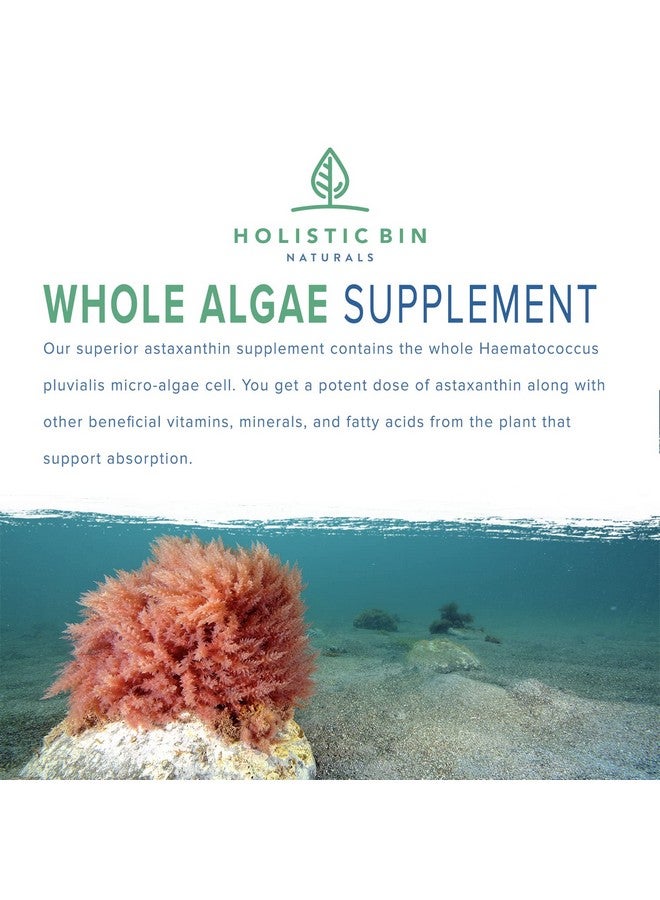 Holistic Bin Organic Astaxanthin Powder | Powerful Natural Antioxidant Supplement for Smoothies and Capsules | Whole Haematococcus Pluvialis Algae Supplement (20 Grams) - Image 2