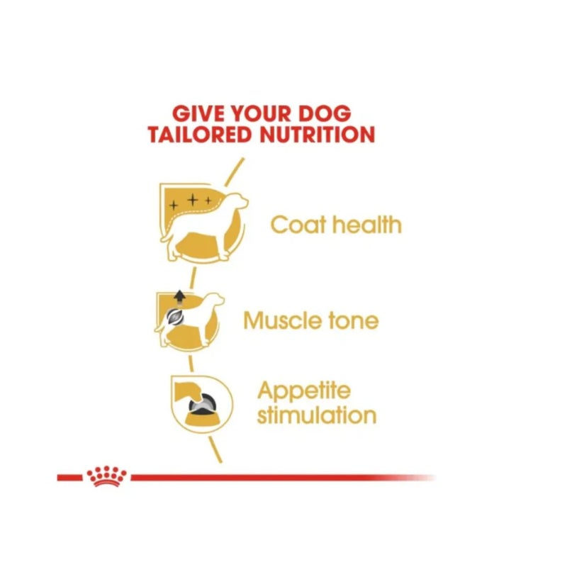 رويال كانين أكياس طعام رطب للكلاب البالغة من رويال كانين، ١٢ كيسًا × ٨٥ غرامًا - Image 4