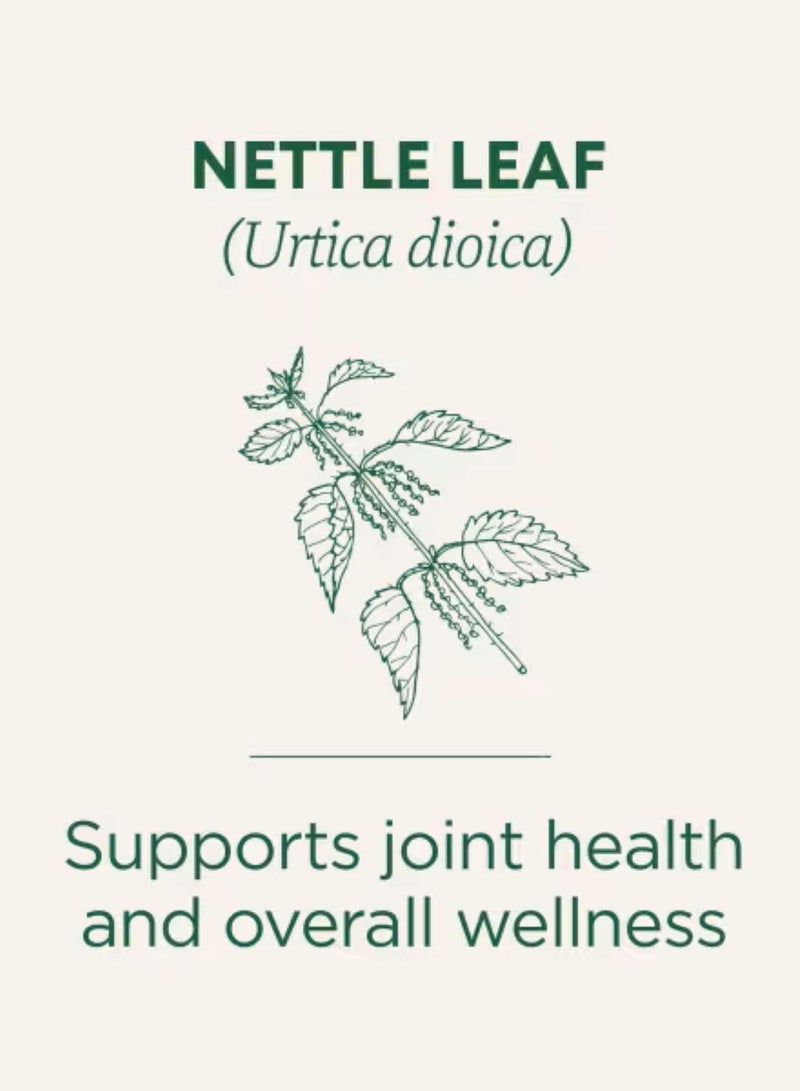 Traditional Organic Nettle Leaf, Caffeine Free, 16 Wrapped Tea Bags, 1.13 oz (32 g) - Image 2