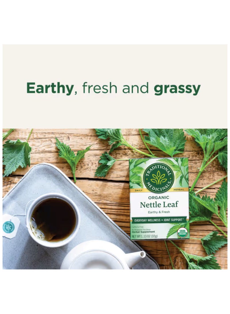 Traditional Organic Nettle Leaf, Caffeine Free, 16 Wrapped Tea Bags, 1.13 oz (32 g) - Image 3