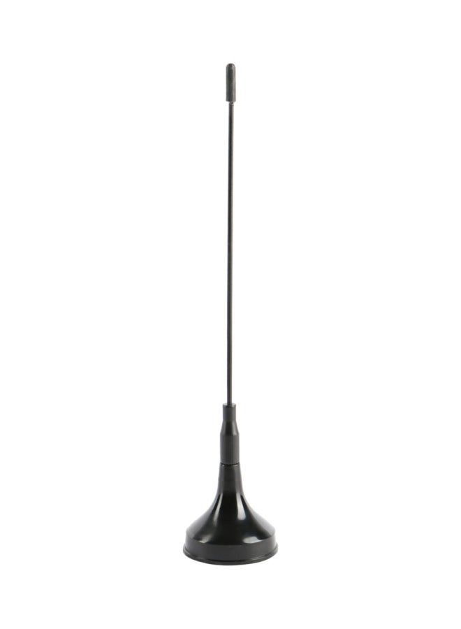 Generic Stylish And Decorative Car Antenna  - Image 1