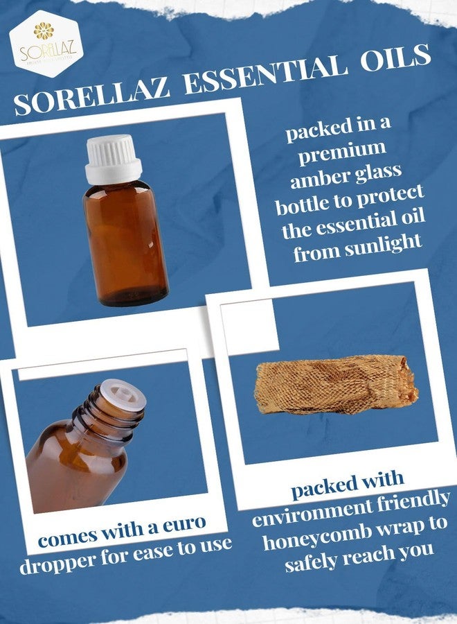 Sorellaz Combo Pack of Wintergreen Essential Oil l Gaultheria Procumbens & Eucalyptus Essential oil l EucalyptusGlobulus l 0.33fl oz/10ml each l 100% Natural & Undiluted l with Easy to Use EuroDropper - Image 2