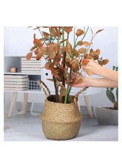 XiuWoo SYOSI Plant Support Stakes, 40 Inch Adjustable Twig Trellis for Potted Plants Flower Supports Indoor Outdoor Plants, Green, 6 Pieces  - Image 5