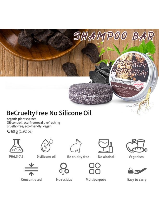 Hotiary Otiary Hair Darkening Shampoo Bar Shouwu Darkening Shampoo Bar For Gray Hair Blackening Shampoo Bar All Nature Organic Hair Darkening Shampoo Bar (Polygonum Multiflorum For Grey Hair)  - Image 3