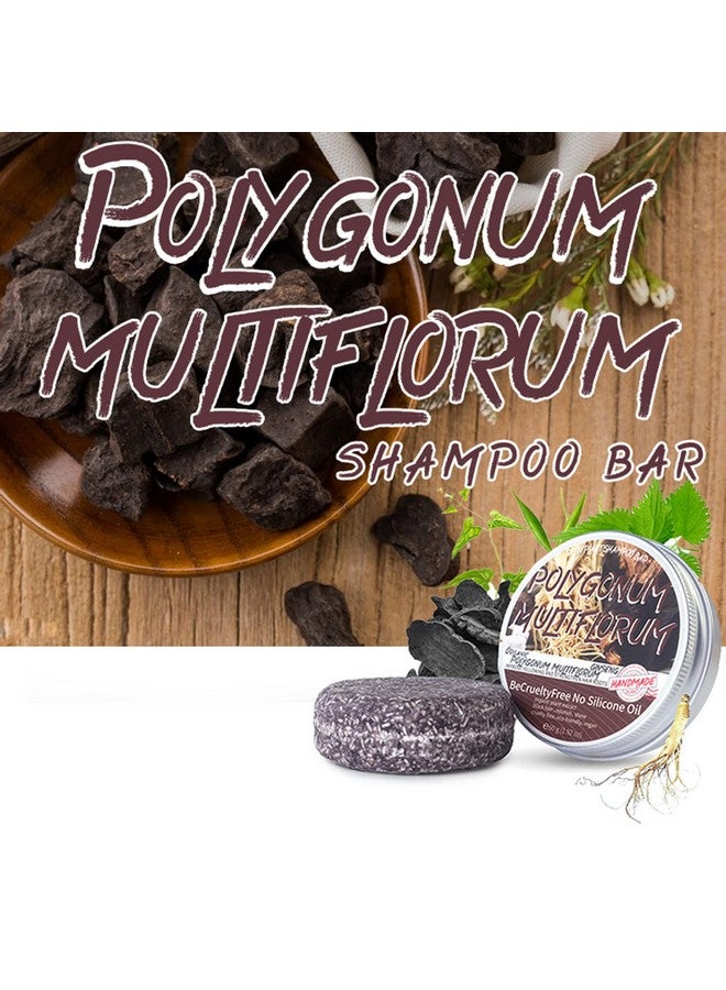 Hotiary Otiary Hair Darkening Shampoo Bar Shouwu Darkening Shampoo Bar For Gray Hair Blackening Shampoo Bar All Nature Organic Hair Darkening Shampoo Bar (Polygonum Multiflorum For Grey Hair)  - Image 4
