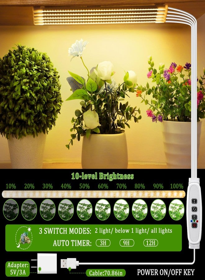 Dreyoo حامل نباتات زاوية من 6 طبقات من دريو مع أضواء نمو - أرفف داخلية بارتفاع 48 بوصة للعديد من النباتات، غرفة المعيشة، الفناء (لون الخشب) - Image 5