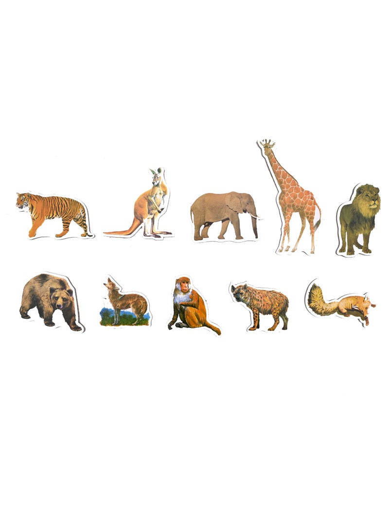 Wildlife Wood Magnetically Attached To The Back - Image 2