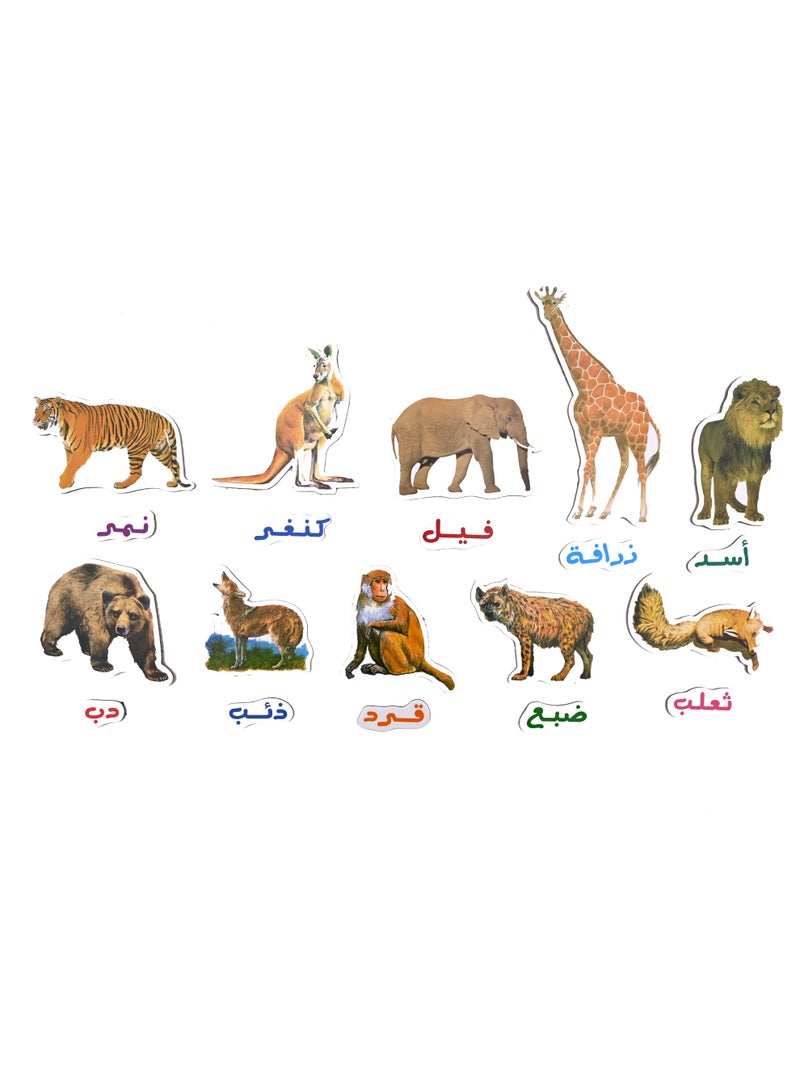 Wildlife Wood Magnetically Attached To The Back - Image 3