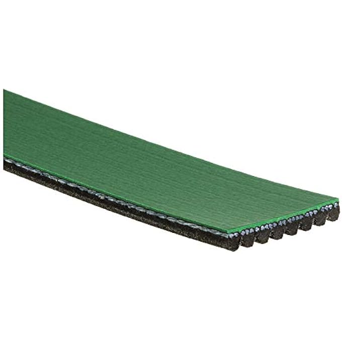 ريحني حزام محرك K081000Hd فليترانر MicroV سيربنتين - Image 2