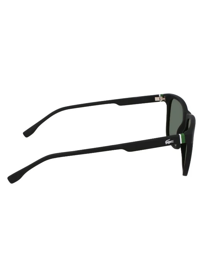 LACOSTE  FULL RIM INJECTED LACOSTE SUNS L6041SN for Men | Best Price UAE