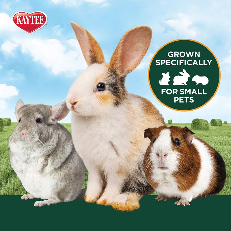 Kaytee Timothy Hay Plus Carrots for Pet Guinea Pigs, Rabbits & Other Small Animals, 24 oz - Image 3