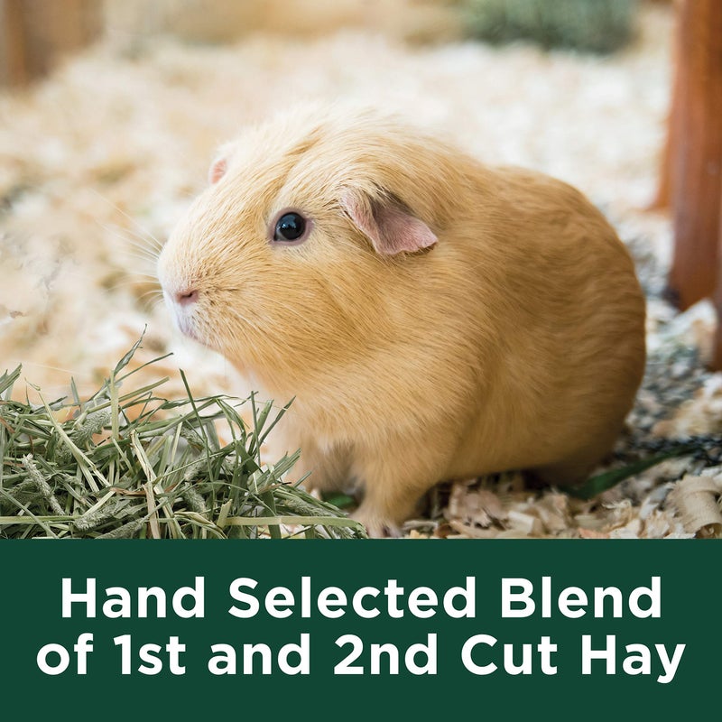 Kaytee Timothy Hay Plus Carrots for Pet Guinea Pigs, Rabbits & Other Small Animals, 24 oz - Image 5