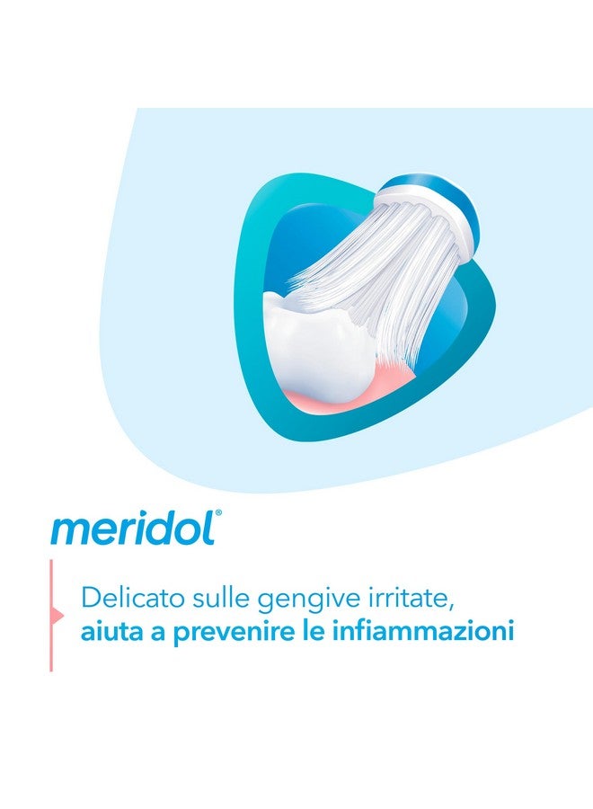 Meridol meridol Spazzolino Potezione Gengive 1 Confezione I Setole Morbide dalle estremità microfini e filamenti conici I Protegge dalle irritazioni gengivali I Manico ergonomico I Pulizia accurata e delicata - Image 3