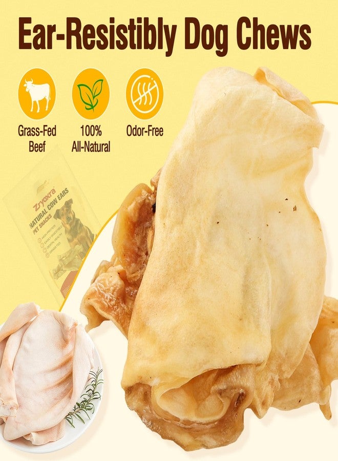 زريوكسرا آذان بقرة حقيقية طبيعية 100% للكلاب - مضغ أسنان بمكون واحد، مكافآت تدوم طويلاً لجميع السلالات (صغيرة/متوسطة/كبيرة) | غني بالبروتين، سهل الهضم (120 غرام) - Image 2