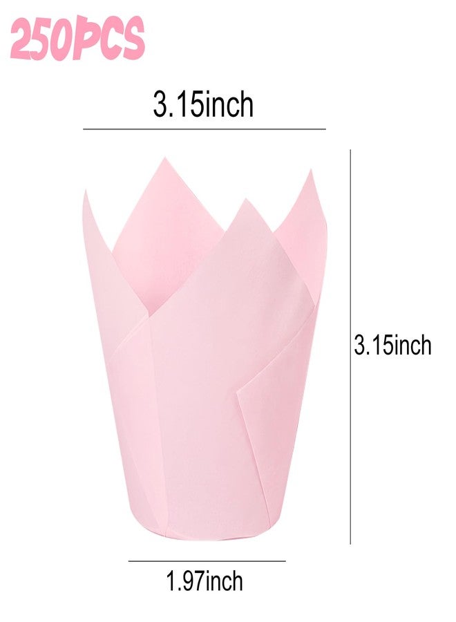 YOIYINI 250Pcs Tulip Cupcake Liners,Parchment Paper Cupcake Liners,Muffin Liner for Baking in Standard Size,Cupcake Liner Paper for Party,Weeding,Birthday, Christmas,Valentines (Pink) - Image 2