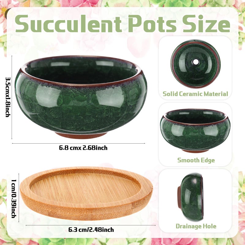 RimCereal 24 Pcs Small Succulent Pots with Drainage - 2.5 Inch Mini Ceramic Cactus Planters with Bamboo Saucers, 8 Colors Ice Crack Glaze Flower Pots for Plants, Home Office Desk Decor - Image 2