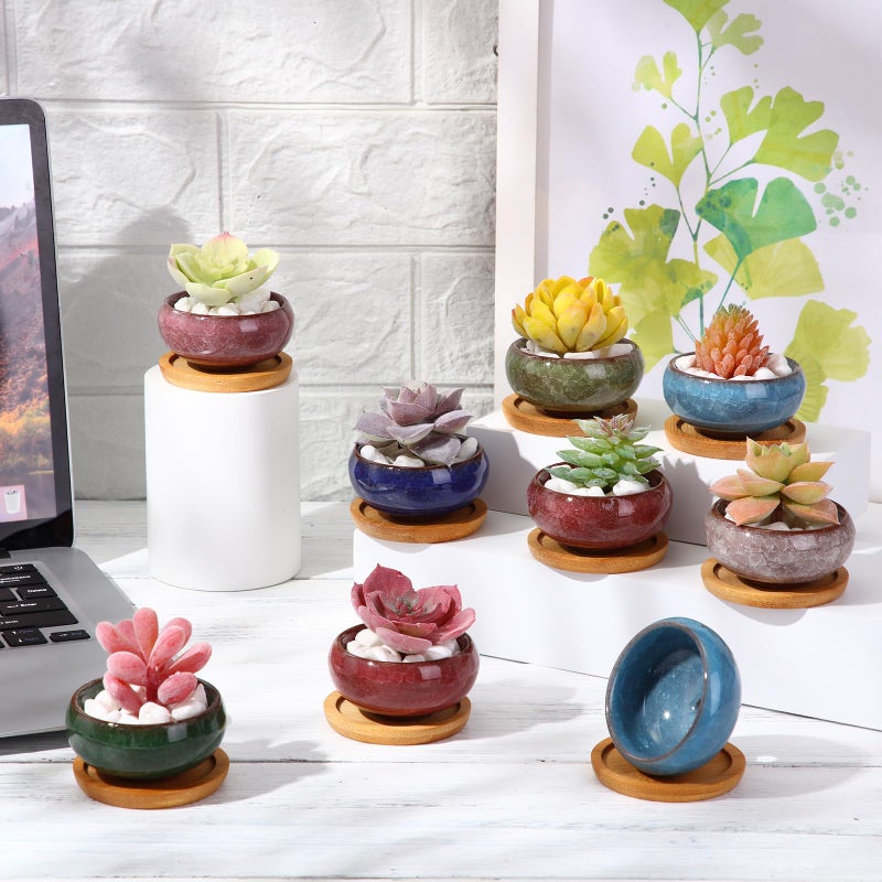 RimCereal 24 Pcs Small Succulent Pots with Drainage - 2.5 Inch Mini Ceramic Cactus Planters with Bamboo Saucers, 8 Colors Ice Crack Glaze Flower Pots for Plants, Home Office Desk Decor - Image 4