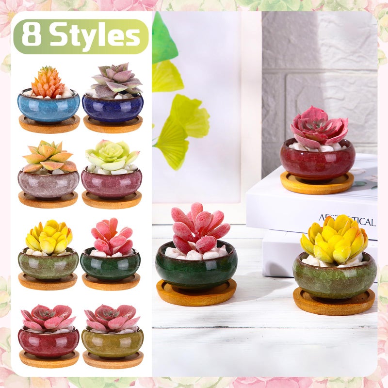 RimCereal 24 Pcs Small Succulent Pots with Drainage - 2.5 Inch Mini Ceramic Cactus Planters with Bamboo Saucers, 8 Colors Ice Crack Glaze Flower Pots for Plants, Home Office Desk Decor - Image 3