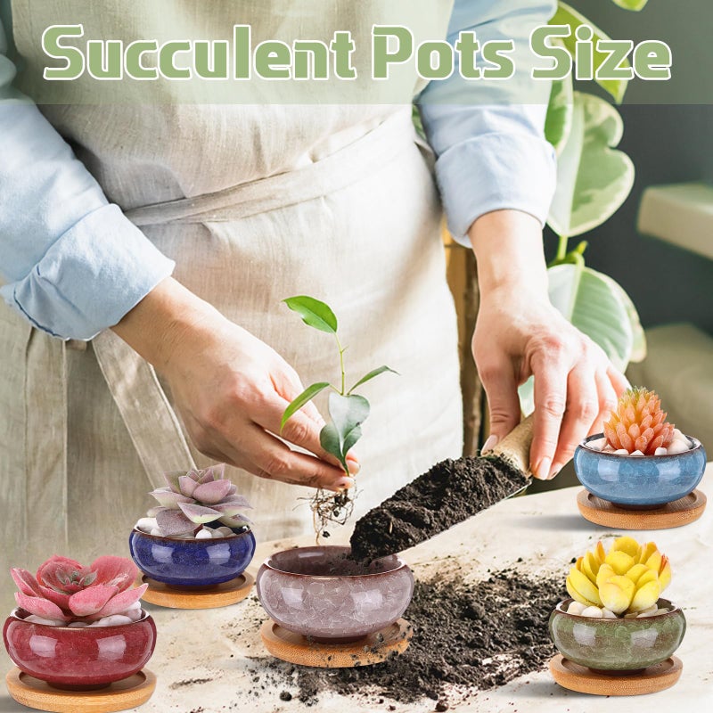 RimCereal 24 Pcs Small Succulent Pots with Drainage - 2.5 Inch Mini Ceramic Cactus Planters with Bamboo Saucers, 8 Colors Ice Crack Glaze Flower Pots for Plants, Home Office Desk Decor - Image 5