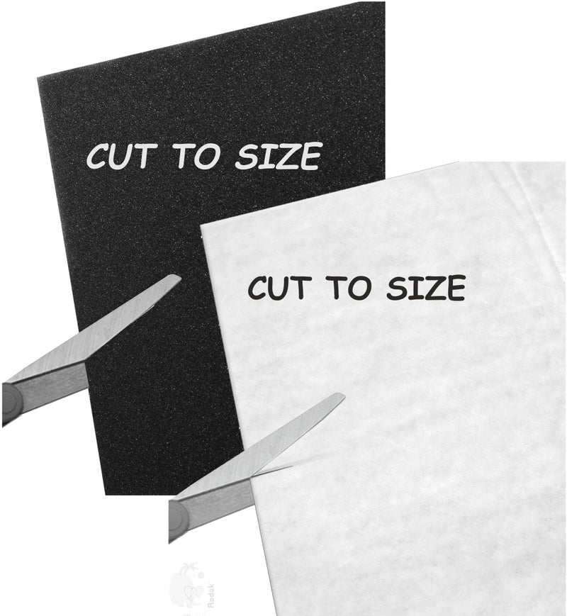 RODAK 1 Foam Filter and 1 Universal Microfilter, Cut to Size for All Vacuum Cleaners Having Provision of Inlet and Outlet Filter - Image 1