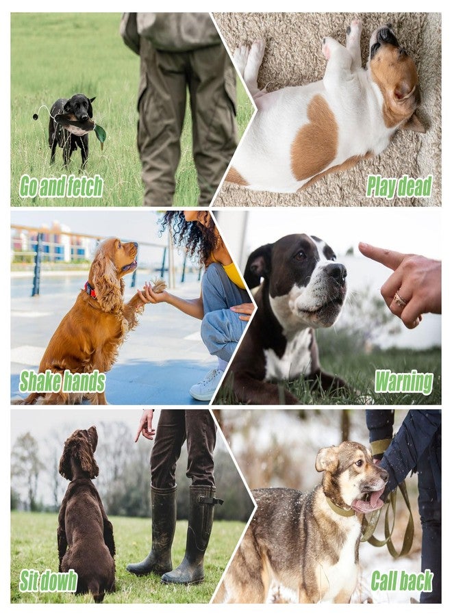 SYWAN Duck Dog Training with Whistle Kit, 2pcs Dog Training Dummies Duck Hunting Dog Accesso Dogs Training Dummy Bumper Retriever Training Floating De-ad Bird Fowl Trainer Hunting Retriever - Image 4
