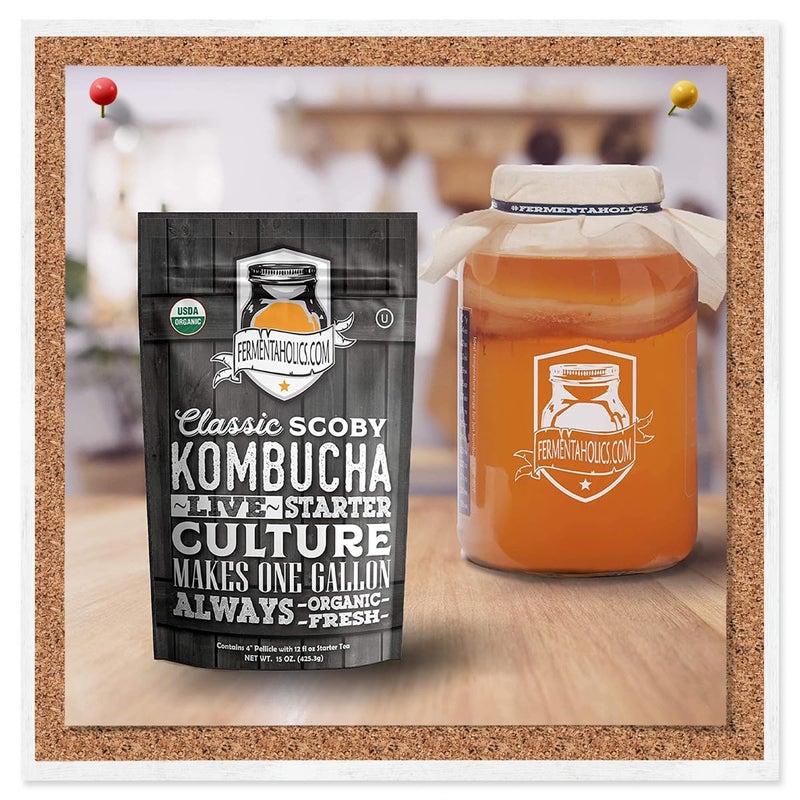 Fermentaholics Kombucha SCOBY & Starter Tea | Live, Fresh, Organic Starter Culture | DIY Kombucha | 12oz Fresh Starter Tea - Image 3