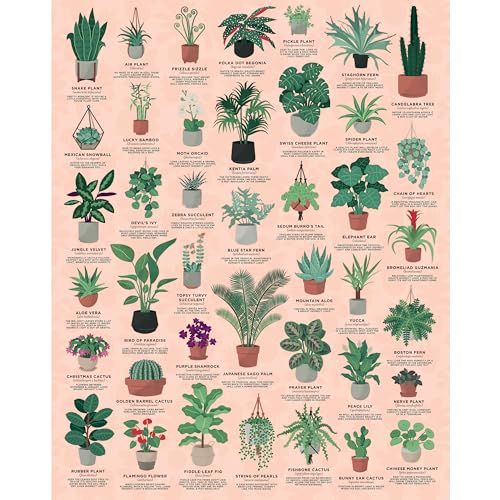 Ridley's Games: House Plants 1000-Piece Jigsaw Puzzle | Perfect for Plant Owners with Over 30 Unique Plants | Perfect Room Décor Once Completed | Storage Tube Included - Image 1