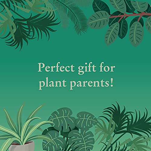 Ridley's Games: House Plants 1000-Piece Jigsaw Puzzle | Perfect for Plant Owners with Over 30 Unique Plants | Perfect Room Décor Once Completed | Storage Tube Included - Image 4