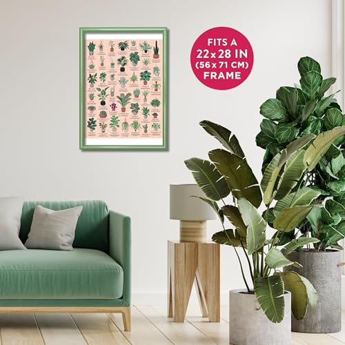 Ridley's Games: House Plants 1000-Piece Jigsaw Puzzle | Perfect for Plant Owners with Over 30 Unique Plants | Perfect Room Décor Once Completed | Storage Tube Included - Image 2