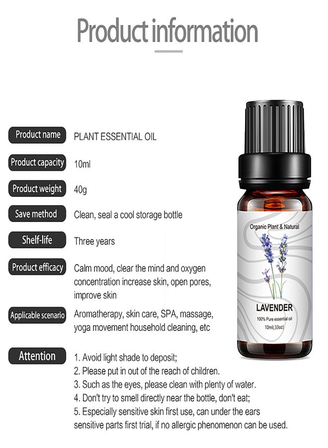 مجموعة هدايا من ٨ زجاجات من الزيوت العطرية النقية والطبيعية، ١٠ مل لكل زجاجة، مثالية للاستخدام في أجهزة التبخير، وترطيب الجو، والتدليك، والعلاج العطري، والاسترخاء، والعناية بالبشرة والشعر. - Image 4