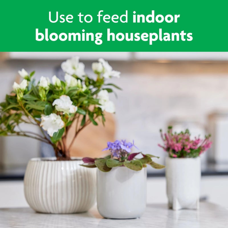 Miracle-Gro Blooming Houseplant Food, 8 oz., Plant Food Feeds All Flowering Houseplants Instantly, Including African Violets - Image 5