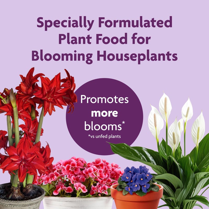 Miracle-Gro Blooming Houseplant Food, 8 oz., Plant Food Feeds All Flowering Houseplants Instantly, Including African Violets - Image 2
