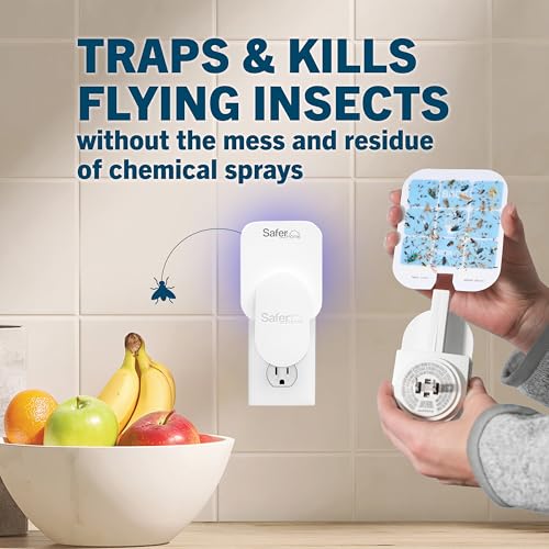 Safer Home Indoor Plug-in Fly Trap - SH502-1R5SR - Effective Fruit Fly Traps for Indoors, Gnat Traps for House Indoor, 400 Sq Ft Protection - Style: 1 Device + 5 Glue Cards - Image 2