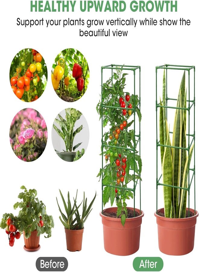 ام كوبين أقفاص طماطم MQUPIN، 3 قطع، أقفاص مربعة لدعم نباتات الحديقة، 41 × 15 × 15 بوصة، دعامات فولاذية متينة لأبراج النباتات، تعريشة خيار للخضراوات المتسلقة والزهور والفواكه مع 10 مشابك. - Image 5