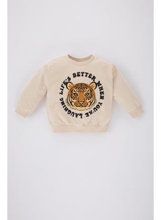 Babyboy Regular Fit Bike Neck Long Sleeve Knitted Sweat Shirt - pzsku/Z783098085261A0D88A9FZ/45/_/1708518073/2b8708ad-0e30-49a6-b09e-96595f0e1a94