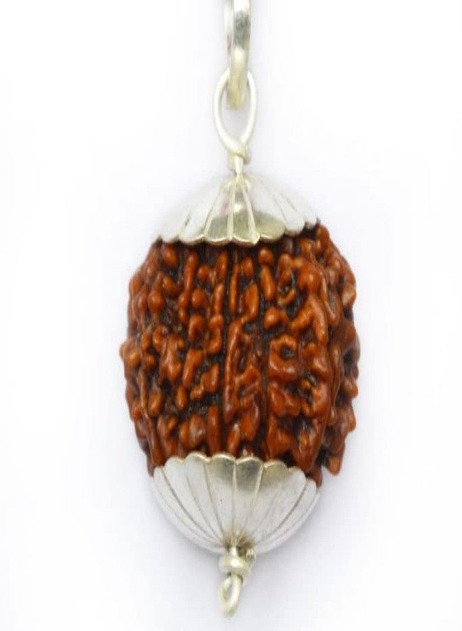 IRIS GEMS 10 Face Rudraksha 10 Mukhi Rudraksha أصلي نيبالي معتمد مع غطاء فضي 10 मुकी रुत्राक्ष طبيعي Ten Mukhi Rudraksha للرجال والنساء الأصلي Das Mukhi Rudraksha - Image 1