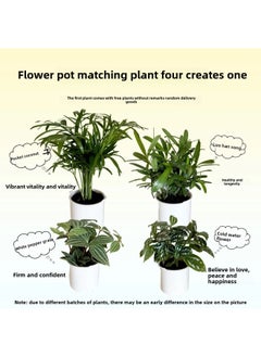 ماركة غير محددة طاولة شفاء الحيوانات الأليفة الإلكترونية اللطيفة من IVY Plant، ألعاب إلكترونية AI، هدية إبداعية للعطلات- اللون: أخضر  - Image 5