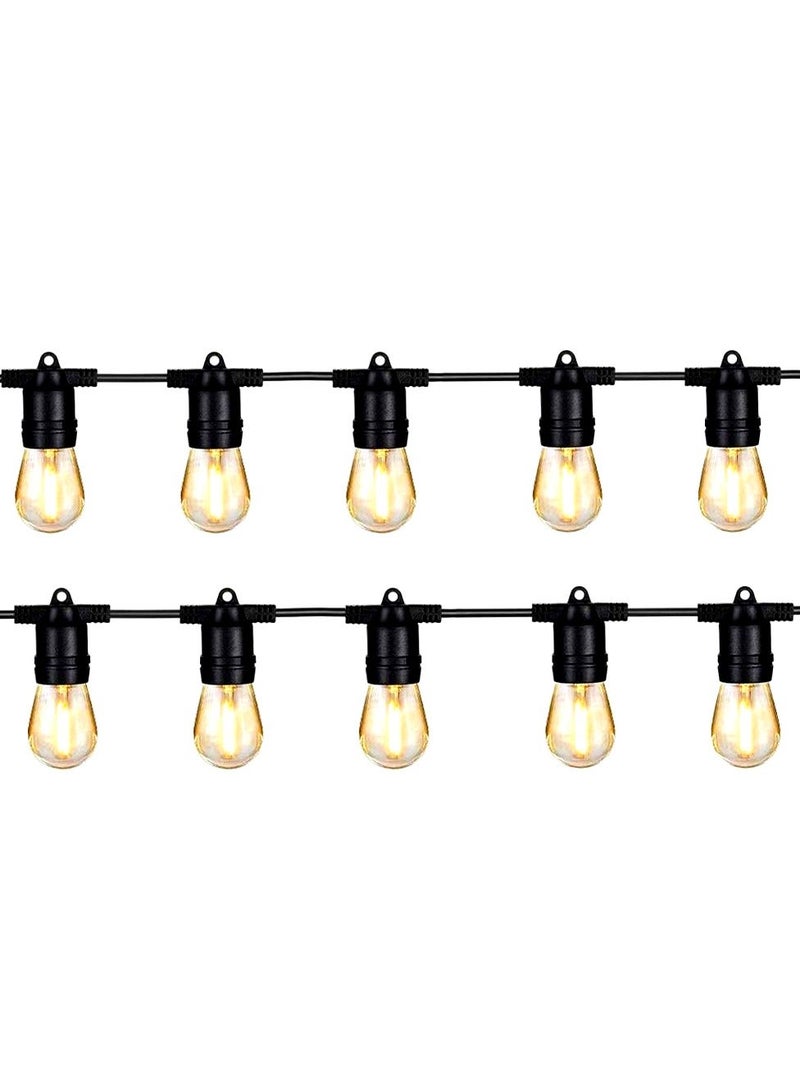 ZAYO LED Festoon String Lights Warm White Globe Bulb Lights for Garden, Patio, Wedding, Party, Outdoor Cafe, Balcony & Home Decorative Lighting  10 Bulb with 5 Meter - Image 2