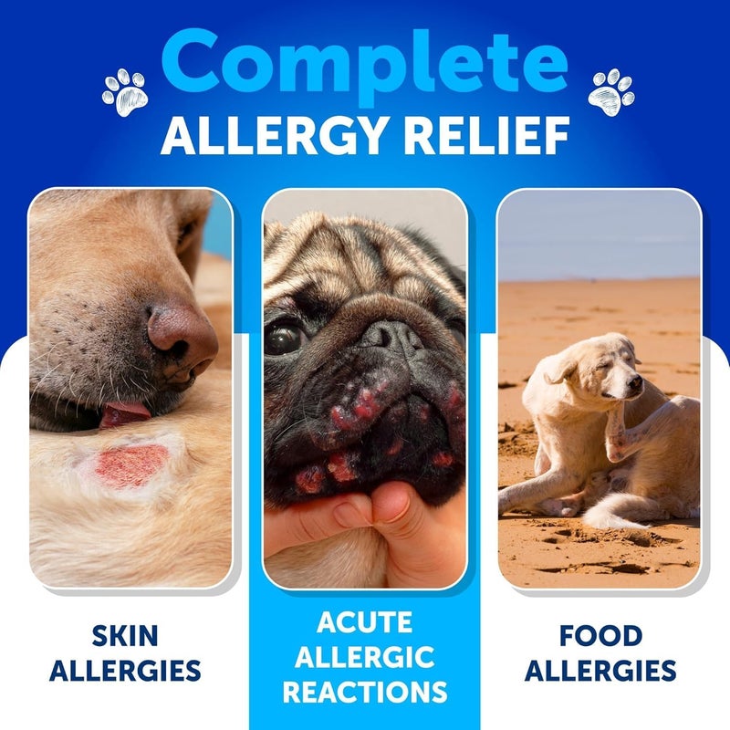 Artullano Probiotics for Dogs - Support Gut Health, Itchy Skin, Allergies, Immunity, Yeast Balance - Dog Probiotics and Digestive Enzymes with Prebiotics - Reduce Diarrhea, Gas - 180 Probiotic Chews for Dogs - Image 3