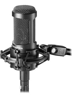 audio-technica Mic AT2050 