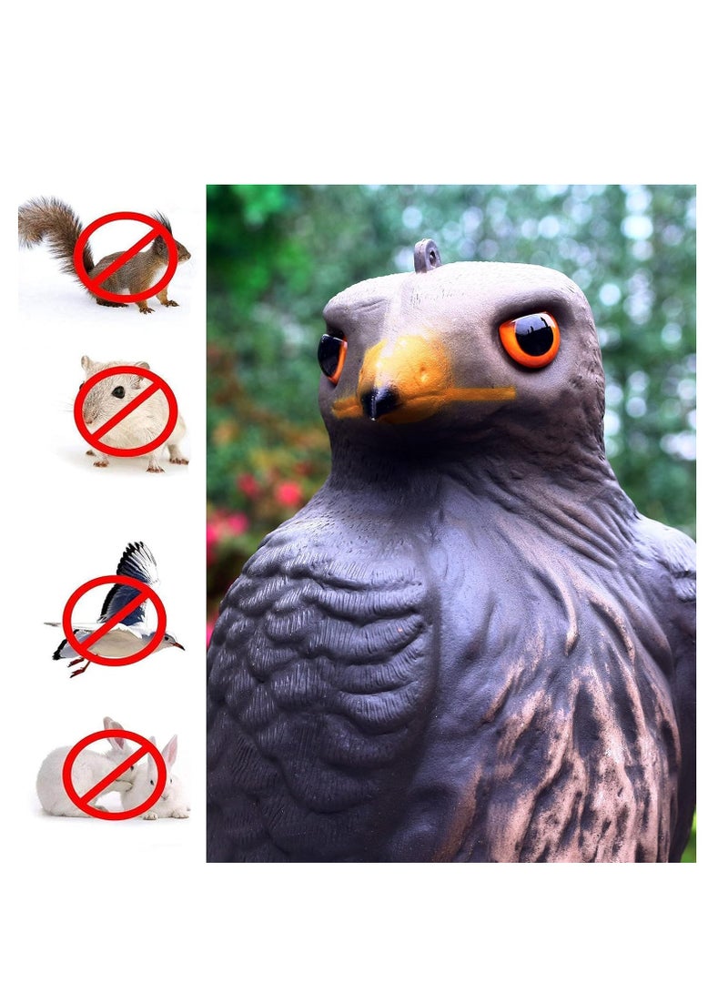 KASTWAVE Large Realistic Falcon Statue Decoy Bird Scarer Plastic Garden Bird Repeller Scarecrow Bird Scare Seagull Crow Scare Birds Away for Garden - Image 4