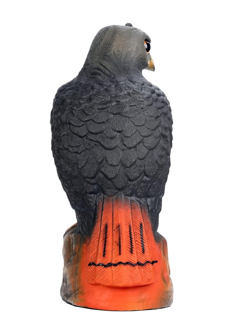 KASTWAVE Large Realistic Falcon Statue Decoy Bird Scarer Plastic Garden Bird Repeller Scarecrow Bird Scare Seagull Crow Scare Birds Away for Garden - Image 2