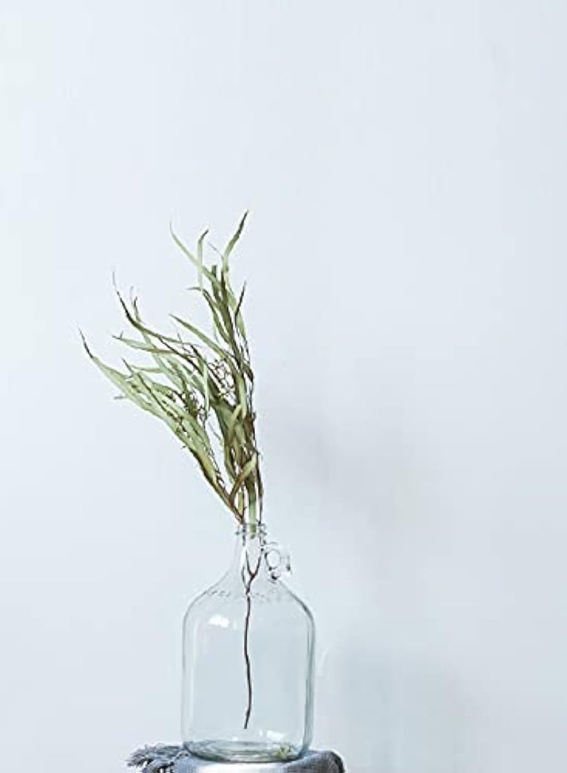 Home zone 1 Gallon Glass Jugs, 128 OZ Large Fermenting Jug with Seal Lid, Wine Growler Carboy Bottle with Handle for Juice, Milk, Water, Vinegar, Limoncello, Home Decoration, Change Jar - Image 5