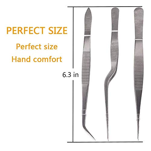 NJ OVERSEAS Kitchen Cooking Culinary Tweezers, Stainless Steel Precision Tongs Medical Beauty Utensils, 6.3 Inches -3 Pieces Set - Image 2