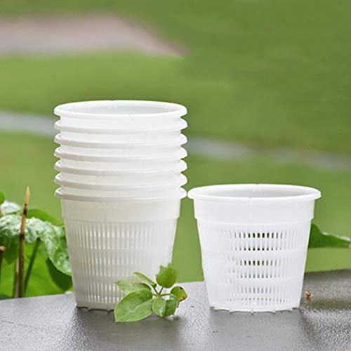 YUDONG 10 Pieces Orchid Pots with Holes-4 inch Plastic Garden Mesh Net Pot,Round Heavy Net Cup Flower Pot,Breathable Slotted Orchids Planter,Hydroponic Basket Planting Nursery Grow Supplies (White) - Image 1