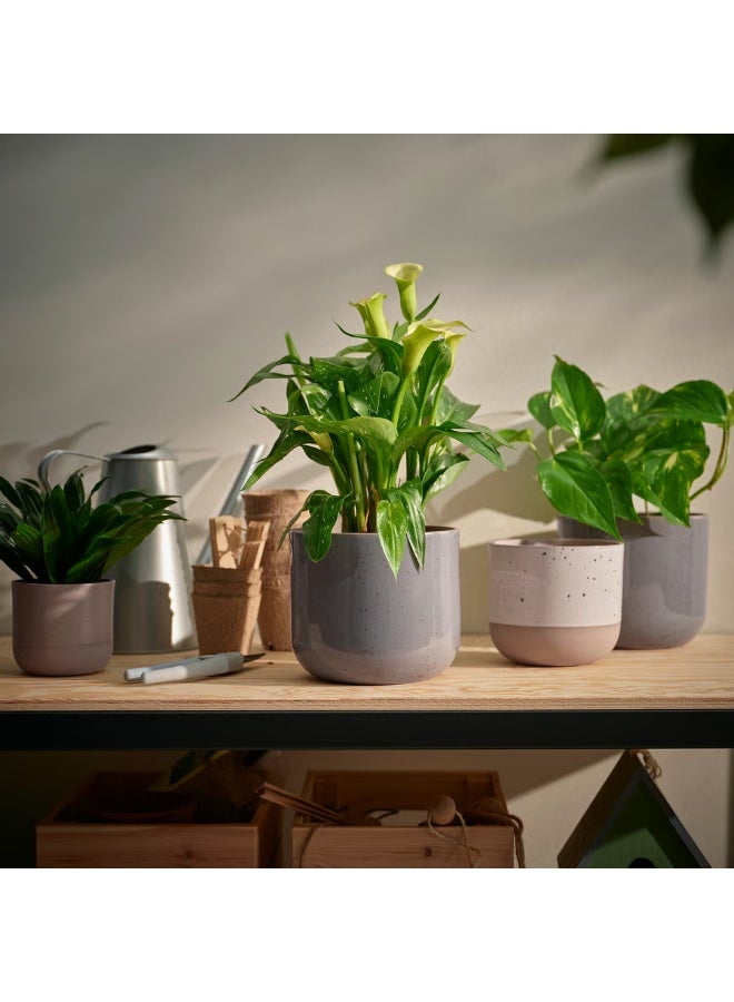 Beige Plant Pot – Indoor & Outdoor Decorative Flower Pot, Durable and Stylish, 12 cm Diameter - Image 3