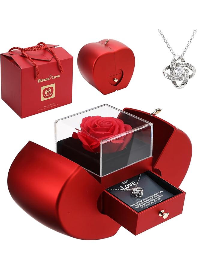 The Bros Preserved Real Rose Gifts for Women, Eternal Rose Gift For Her, Handmade Rose Flower with Jewelry Gifts For Her On Birthday, Gifts for Woman Wife Girlfriend Mother Birthday, Valentines - Image 1