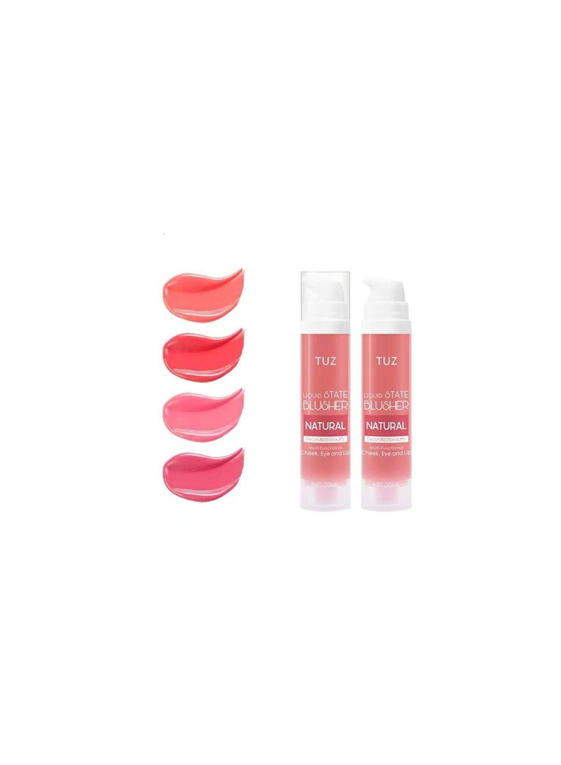 TUZ Multicolour Blusher 4pcs  Natural, Translucence Bright And Full Color Hold Makeup - Image 1