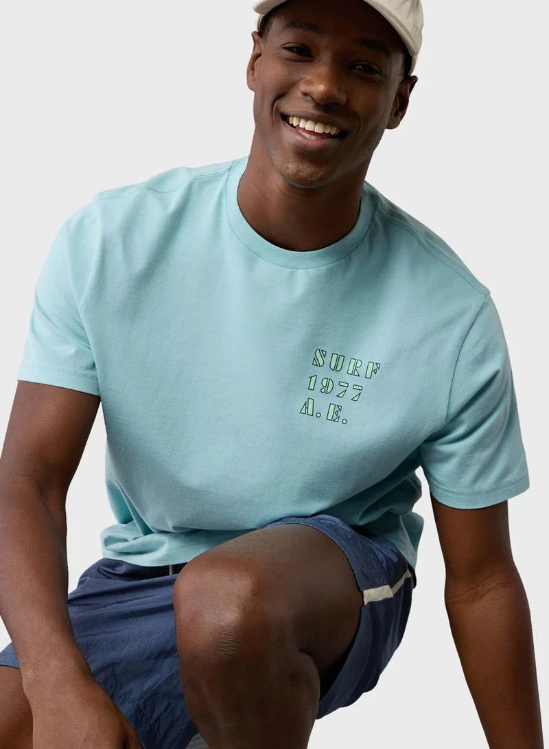 American Eagle Embroidered Graphic Crew Neck T-Shirt
