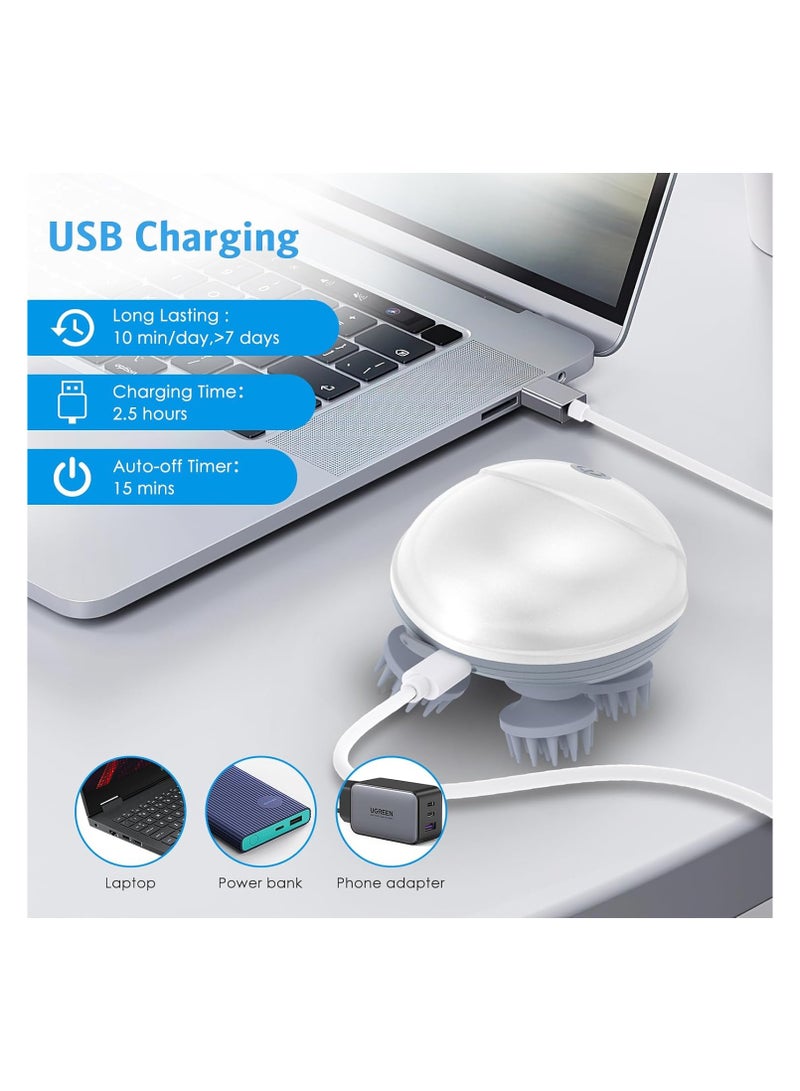 Handheld Electric Massager for Cats and Dogs, Electric Pet Massager for Dogs and Cats, with 4 Massage Heads, Cat Head and Back to Relieve Tight Muscle Stiffness, Promote Bonding - Image 3